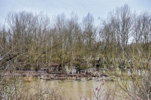 2026-02-23-StGermain13