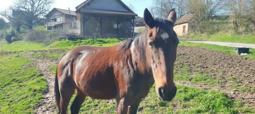 2026-02-26-Droiturier08