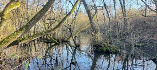 2026-02-26-Droiturier14