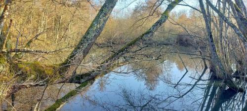 2026-02-26-Droiturier15