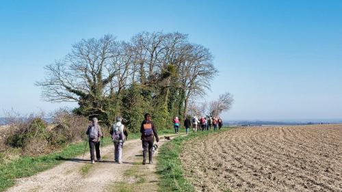 2026-02-26-Etroussat12