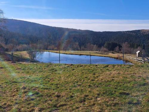 2026-03-03-Vollore09