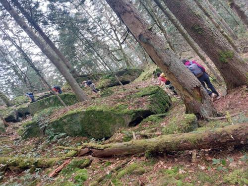 2026-03-03-Vollore15