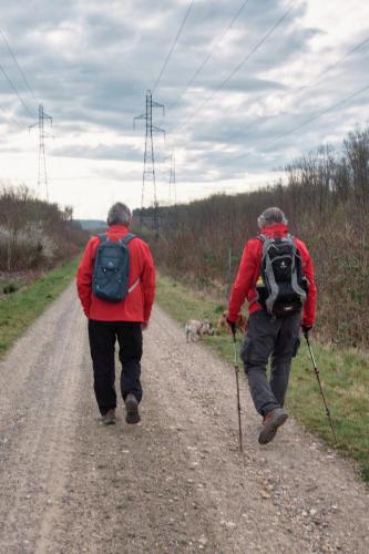 2026-03-09-StDidier03