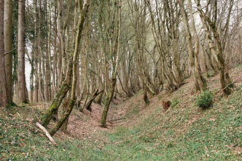 2026-03-09-StDidier05