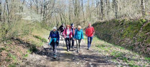 2026-03-12-Jenzat06
