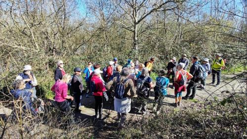 2026-03-17-StLoup03