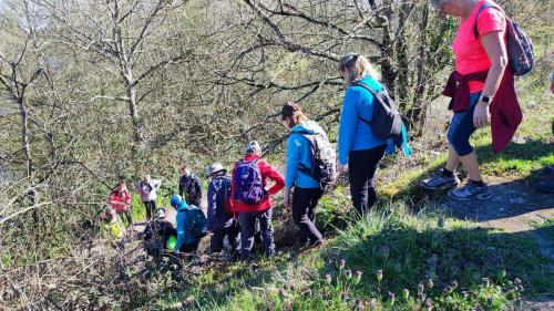 2026-03-17-StLoup04
