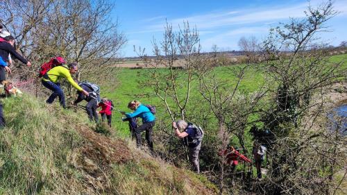2026-03-17-StLoup06