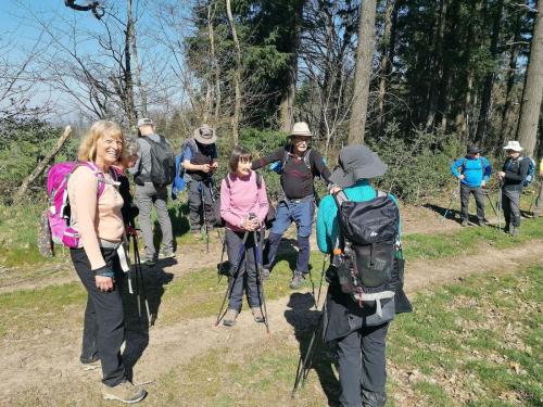 Rando 1/2 journée à Bert le 19 mars 2026