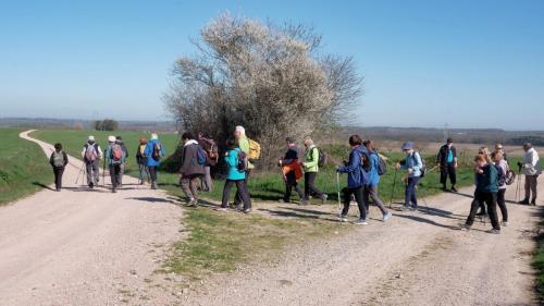 2026-03-19-Billezois12 (1)