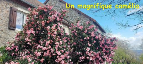 2026-03-26-Chouvigny12