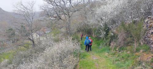 2026-03-26-Chouvigny18