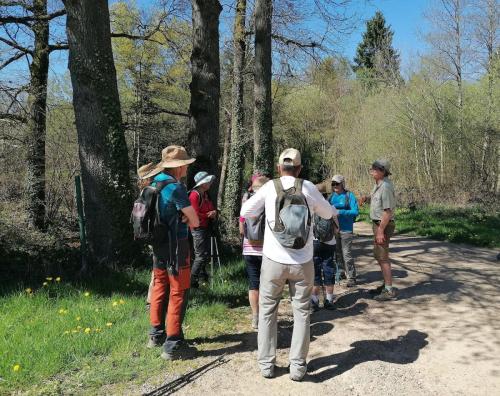2026-04-09-LaBruyere02