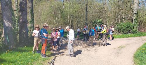 2026-04-09-LaBruyere10