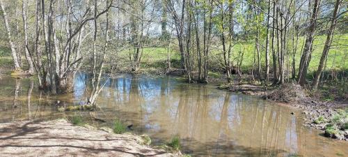 2026-04-09-LaBruyere13