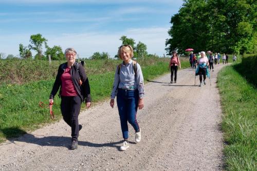 2026-04-20-Brugheas06