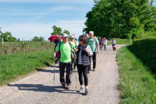 2026-04-20-Brugheas08
