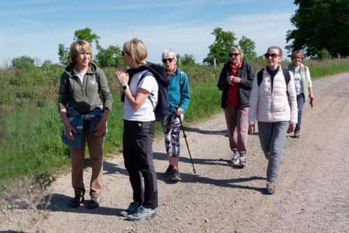 2026-04-20-Brugheas09