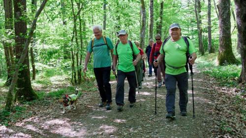 2026-04-20-Brugheas13