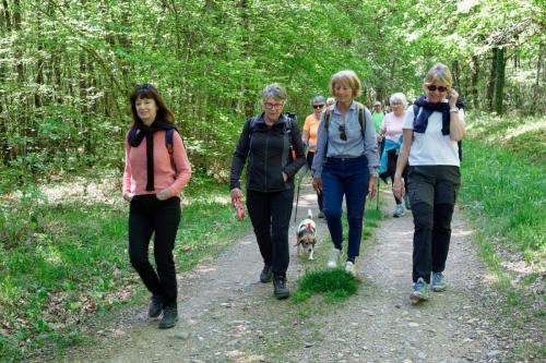 2026-04-20-Brugheas14