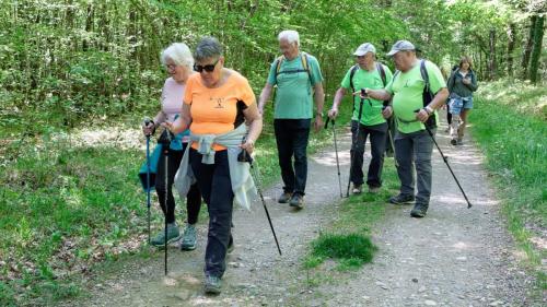 2026-04-20-Brugheas15 (1)