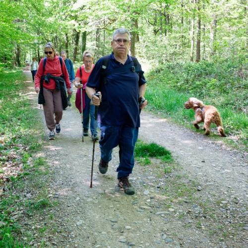 2026-04-20-Brugheas16