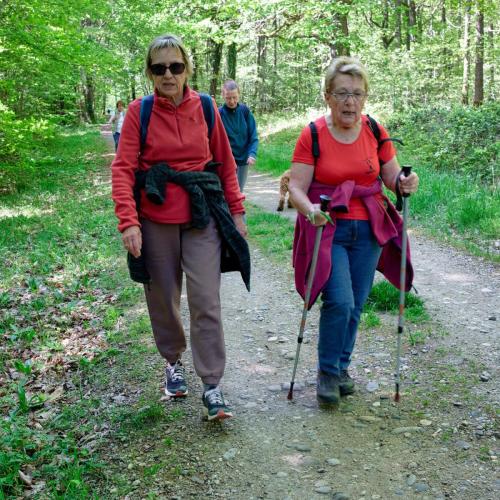 2026-04-20-Brugheas17