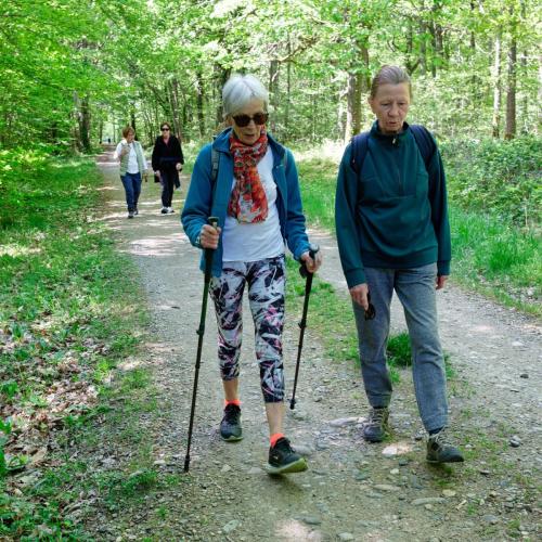 2026-04-20-Brugheas18