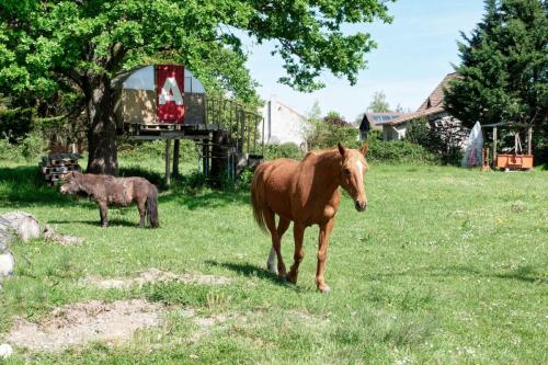 2026-04-20-Brugheas19
