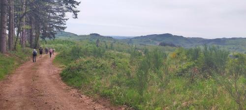 2026-04-28-ChatelMontagne12