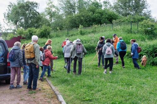 2026-05-11-StGermain01 (1)