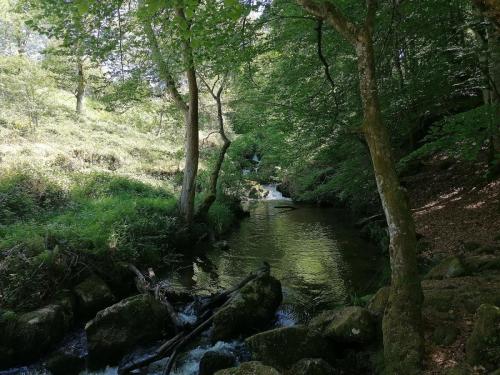 2026-05-21-Arfeuilles09