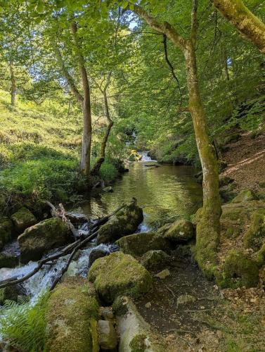 2026-05-21-Arfeuilles13