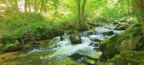 2026-05-21-Arfeuilles17