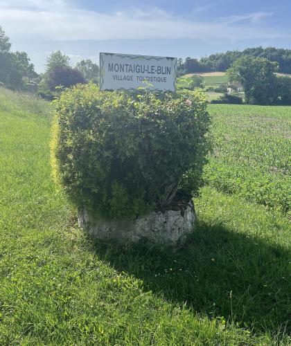 2026-05-26-Montaigu04