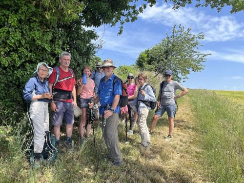 Rando 1/2 journée à Montaigu le Blin le 26 mai 2026