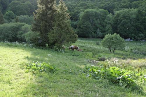 2026-05-28-Chaudefour09