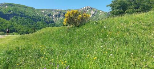 2026-05-28-Chaudefour13