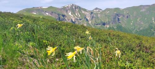 2026-05-28-Chaudefour20