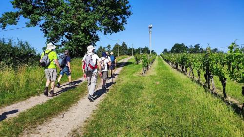 2026-05-28-StPourcain06