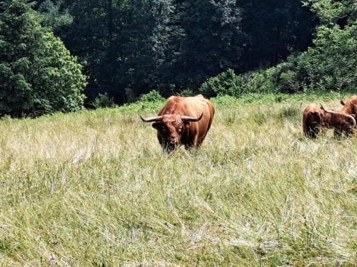 2026-06-02-Lachaud02