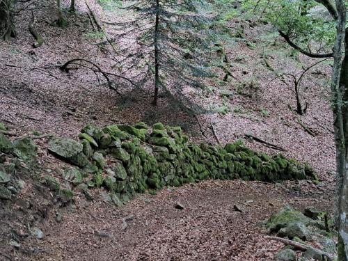 2026-06-02-Lachaud03