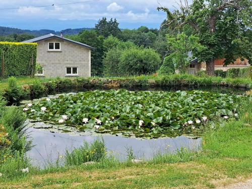 2026-06-02-Lachaud04