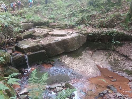 2026-06-11-Correze-Collonges02