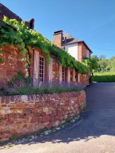 2026-06-11-Correze-Collonges15