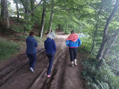 2026-06-11-Correze-Collonges20