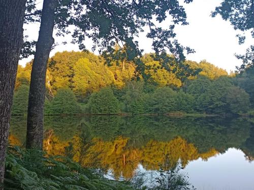 2026-06-11-Correze-Collonges24