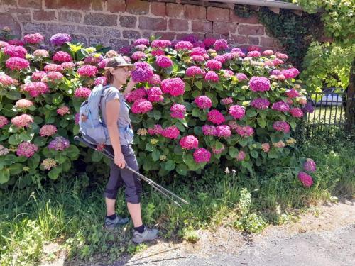 2026-06-11-Correze-Collonges28