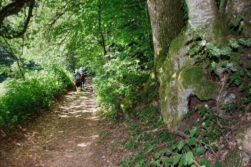 2026-06-11-LeMayet06